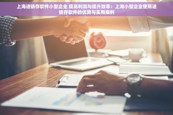 上海进销存软件小型企业 提高利润与提升效率：上海小型企业使用进销存软件的优势与实用案例