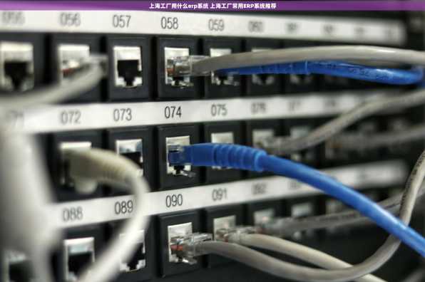 上海工厂用什么erp系统 上海工厂常用ERP系统推荐
