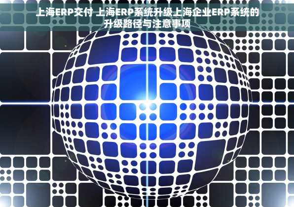 上海ERP交付 上海ERP系统升级上海企业ERP系统的升级路径与注意事项