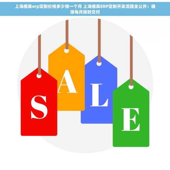 上海模具erp定制价格多少钱一个月 上海模具ERP定制开发流程全公开：确保每月按时交付