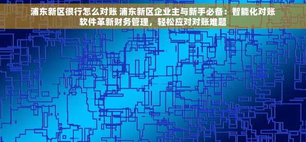 浦东新区很行怎么对账 浦东新区企业主与新手必备：智能化对账软件革新财务管理，轻松应对对账难题