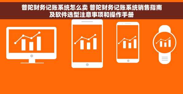 普陀财务记账系统怎么卖 普陀财务记账系统销售指南及软件选型注意事项和操作手册