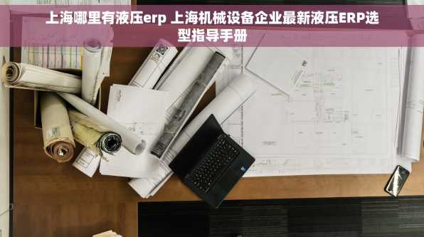 上海哪里有液压erp 上海机械设备企业最新液压ERP选型指导手册