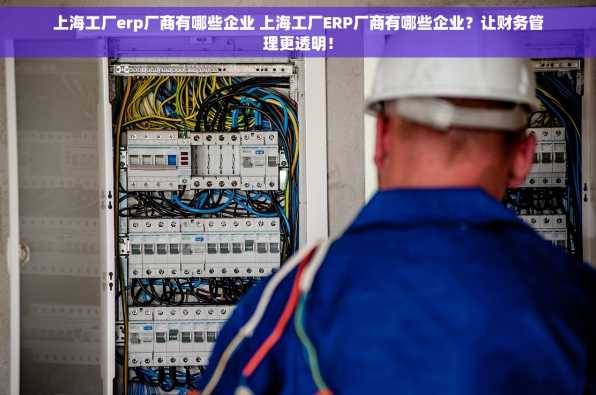 上海工厂erp厂商有哪些企业 上海工厂ERP厂商有哪些企业？让财务管理更透明！