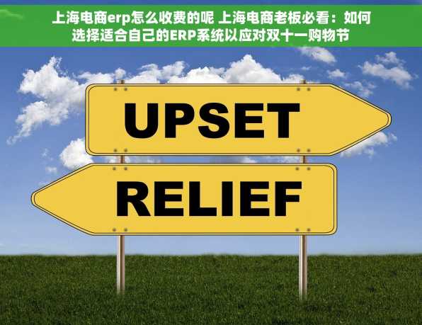 上海电商erp怎么收费的呢 上海电商老板必看：如何选择适合自己的ERP系统以应对双十一购物节