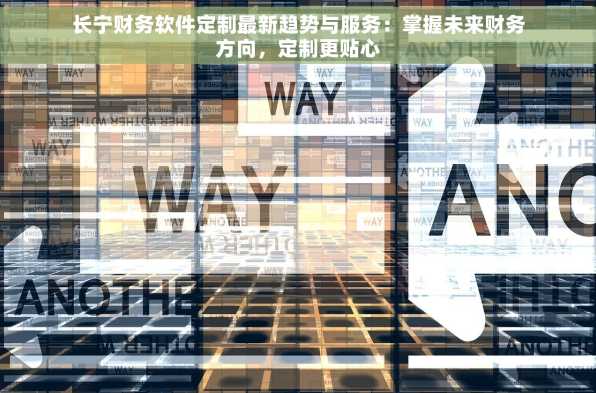 长宁财务软件定制最新趋势与服务：掌握未来财务方向，定制更贴心