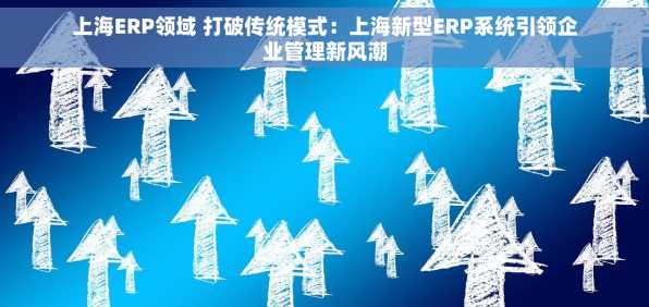 上海ERP领域 打破传统模式：上海新型ERP系统引领企业管理新风潮