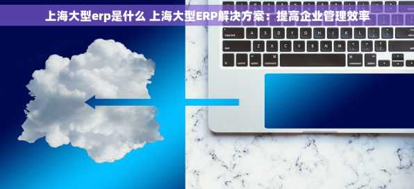 上海大型erp是什么 上海大型ERP解决方案：提高企业管理效率