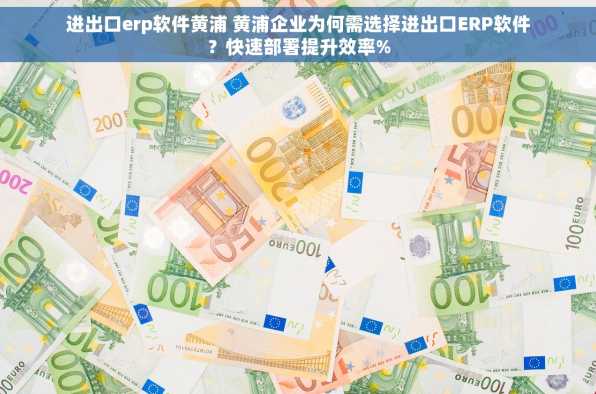 进出口erp软件黄浦 黄浦企业为何需选择进出口ERP软件？快速部署提升效率%