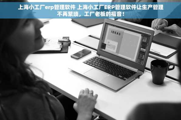 上海小工厂erp管理软件 上海小工厂ERP管理软件让生产管理不再繁琐，工厂老板的福音！