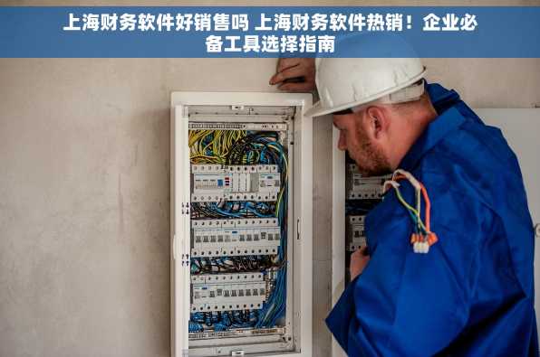 上海财务软件好销售吗 上海财务软件热销！企业必备工具选择指南