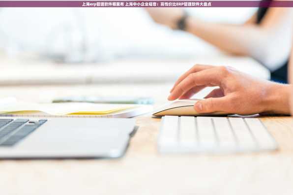 上海erp管理软件哪里有 上海中小企业福音：高性价比ERP管理软件大盘点