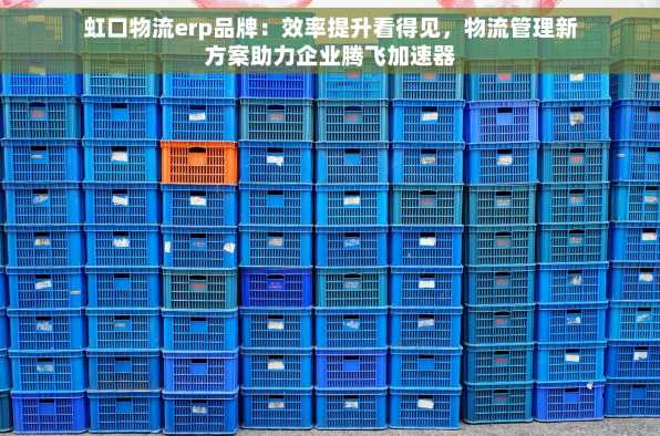 虹口物流erp品牌：效率提升看得见，物流管理新方案助力企业腾飞加速器