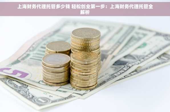 上海财务代理托管多少钱 轻松创业第一步：上海财务代理托管全解析