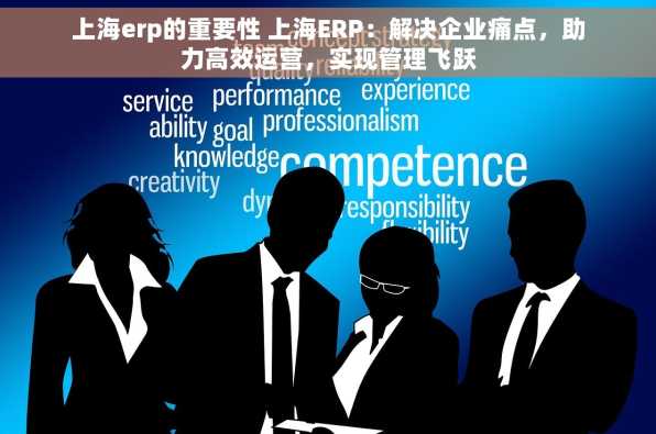 上海erp的重要性 上海ERP：解决企业痛点，助力高效运营，实现管理飞跃