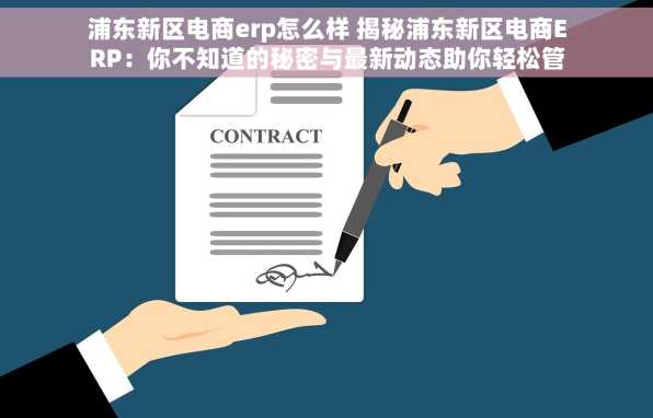 浦东新区电商erp怎么样 揭秘浦东新区电商ERP：你不知道的秘密与最新动态助你轻松管理店铺
