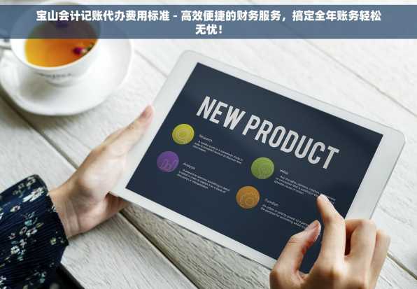 宝山会计记账代办费用标准 - 高效便捷的财务服务，搞定全年账务轻松无忧！