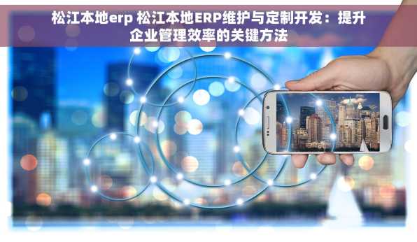 松江本地erp 松江本地ERP维护与定制开发：提升企业管理效率的关键方法