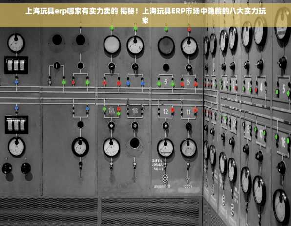 上海玩具erp哪家有实力卖的 揭秘！上海玩具ERP市场中隐藏的八大实力玩家