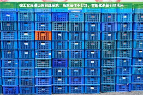 徐汇仓库进出库管理系统：高效运作不打烊，智能化系统引领未来