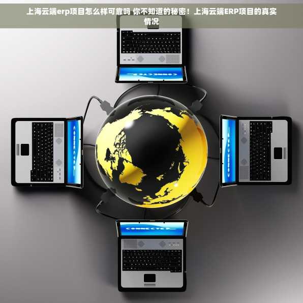 上海云端erp项目怎么样可靠吗 你不知道的秘密！上海云端ERP项目的真实情况
