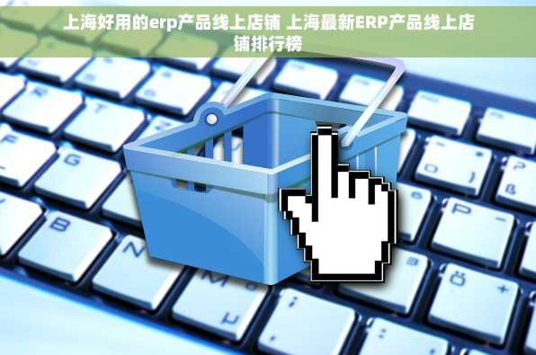 上海好用的erp产品线上店铺 上海最新ERP产品线上店铺排行榜