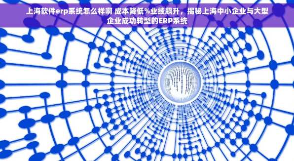 上海软件erp系统怎么样啊 成本降低%业绩飙升，揭秘上海中小企业与大型企业成功转型的ERP系统