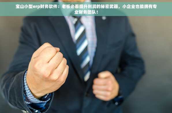 宝山小型erp财务软件：老板必看提升利润的秘密武器，小企业也能拥有专业财务团队！