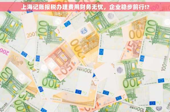 上海记账报税办理费用财务无忧，企业稳步前行!?