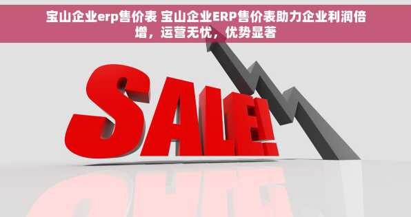 宝山企业erp售价表 宝山企业ERP售价表助力企业利润倍增，运营无忧，优势显著
