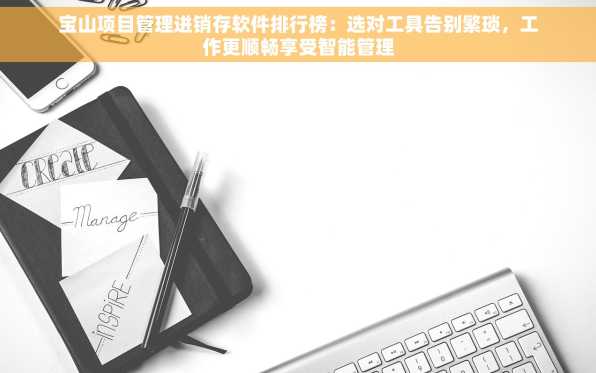 宝山项目管理进销存软件排行榜：选对工具告别繁琐，工作更顺畅享受智能管理