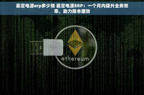 嘉定电源erp多少钱 嘉定电源ERP：一个月内提升业务效率，助力降本增效