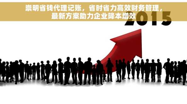 崇明省钱代理记账，省时省力高效财务管理，最新方案助力企业降本增效