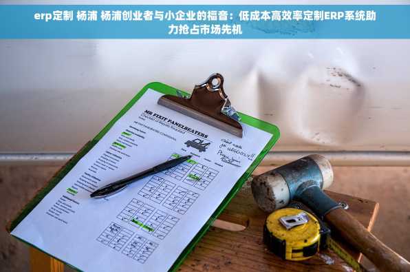 erp定制 杨浦 杨浦创业者与小企业的福音：低成本高效率定制ERP系统助力抢占市场先机