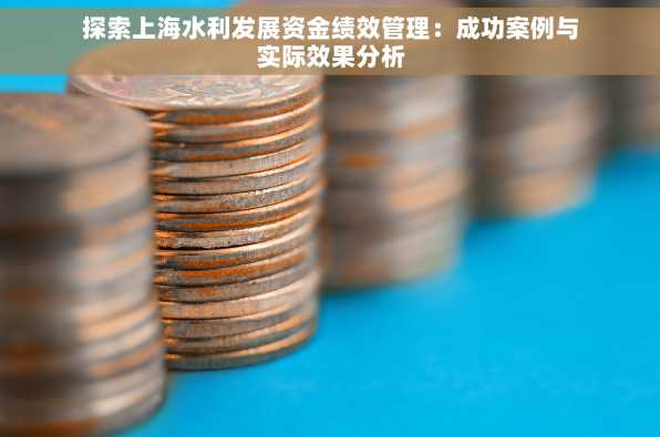 探索上海水利发展资金绩效管理：成功案例与实际效果分析