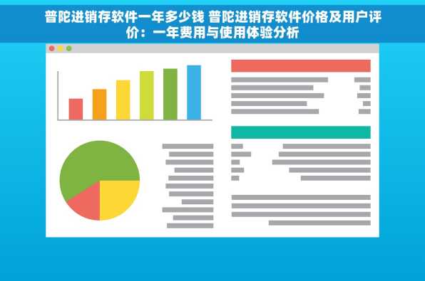 普陀进销存软件一年多少钱 普陀进销存软件价格及用户评价：一年费用与使用体验分析