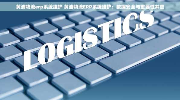 黄浦物流erp系统维护 黄浦物流ERP系统维护：数据安全与重要性并重