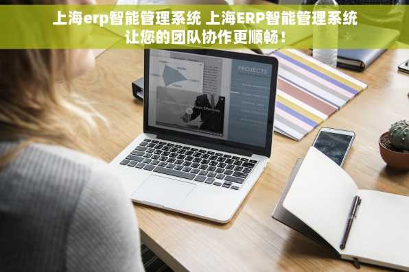 上海erp智能管理系统 上海ERP智能管理系统让您的团队协作更顺畅！
