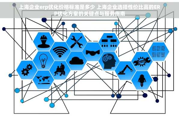 上海企业erp优化价格标准是多少 上海企业选择性价比高的ERP优化方案的关键点与服务指南