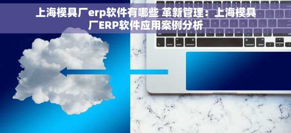 上海模具厂erp软件有哪些 革新管理：上海模具厂ERP软件应用案例分析