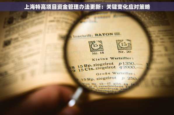 上海特高项目资金管理办法更新：关键变化应对策略