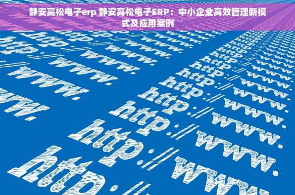 静安高松电子erp 静安高松电子ERP：中小企业高效管理新模式及应用案例