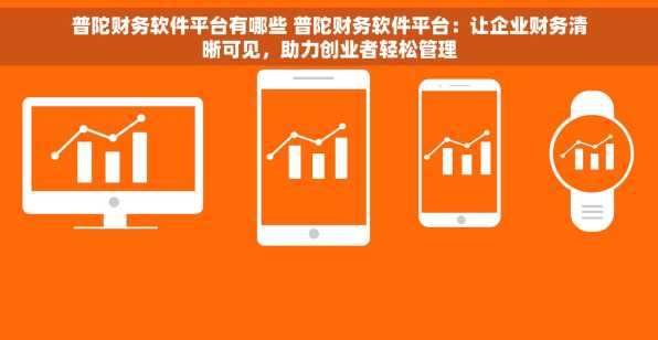 普陀财务软件平台有哪些 普陀财务软件平台：让企业财务清晰可见，助力创业者轻松管理