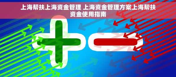 上海帮扶上海资金管理 上海资金管理方案上海帮扶资金使用指南
