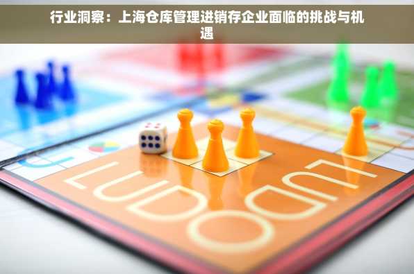 行业洞察：上海仓库管理进销存企业面临的挑战与机遇