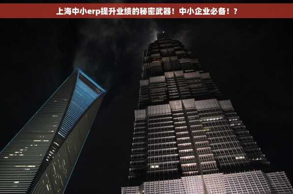 上海中小erp提升业绩的秘密武器！中小企业必备！?