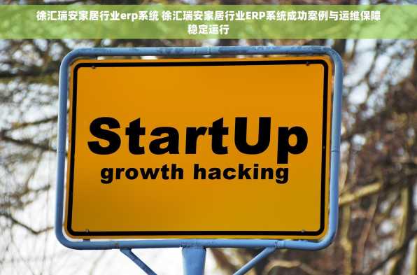 徐汇瑞安家居行业erp系统 徐汇瑞安家居行业ERP系统成功案例与运维保障稳定运行