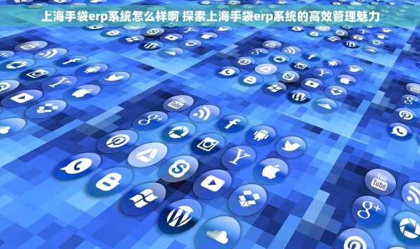 上海手袋erp系统怎么样啊 探索上海手袋erp系统的高效管理魅力