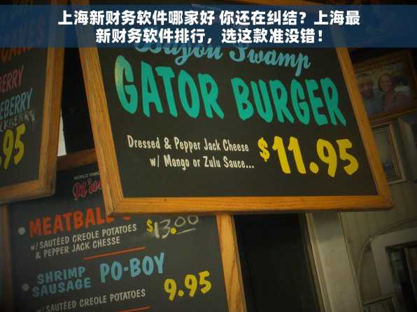 上海新财务软件哪家好 你还在纠结？上海最新财务软件排行，选这款准没错！