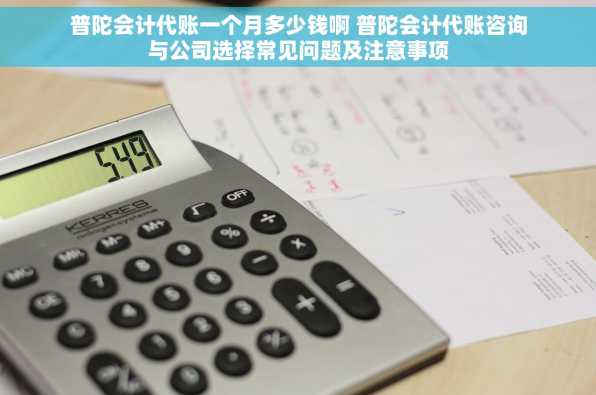 普陀会计代账一个月多少钱啊 普陀会计代账咨询与公司选择常见问题及注意事项